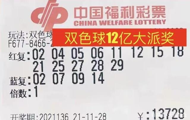 管家婆免费版资料大全-澳门天天开彩大全免费_改变局势的观察;未来发展的钥匙又在哪里、定量解释落实