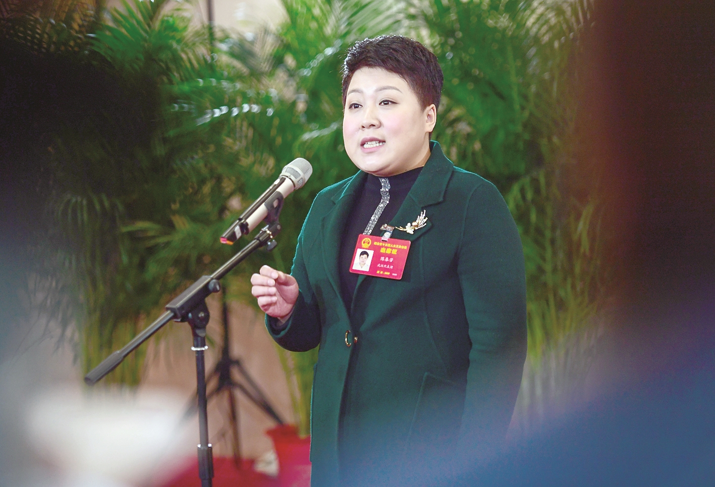陈春芳与医保基金的深度探讨 陈春芳医保基金
