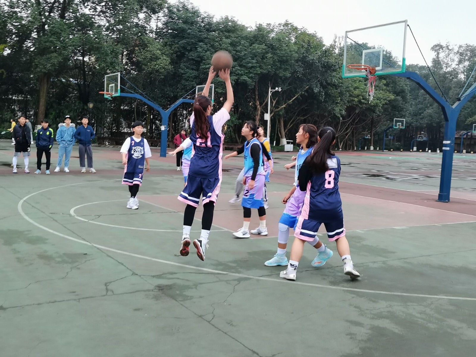 女生篮球趣味活动，活力四溢的篮球新篇章 女生篮球趣味活动