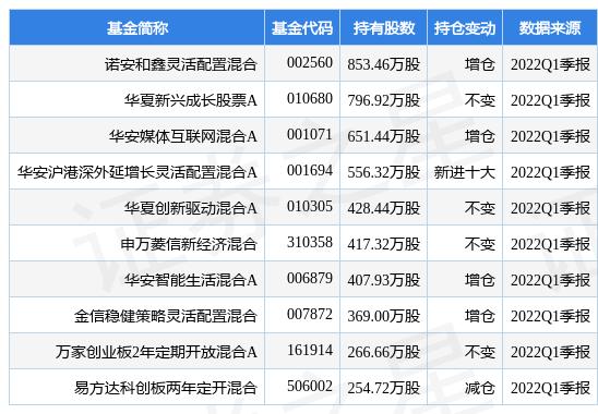 诺安股票基金净值查询，市场动态与投资策略分析 诺安股票基金净值查询