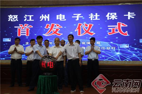 农行理财币种，多元化投资的选择与市场分析 农行理财币种