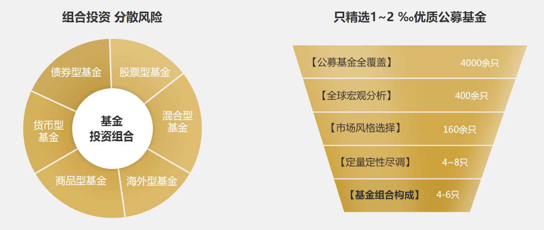 互补基金，全球投资的新选择 互补基金是啥