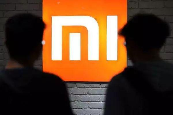 退休前交的社保基金，保障未来生活的坚实基石 退休前交的社保基金
