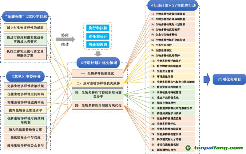 朱鹏国自然基金与孕期科研的探索之路 朱鹏国自然基金孕期