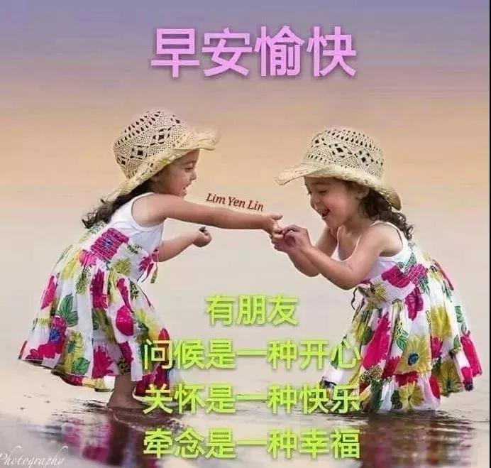 银行系基金与银行，金融市场的双翼共舞 银行系基金和银行