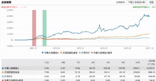 东方财富大基金代码，投资策略与市场动态分析 东方财富里大基金代码