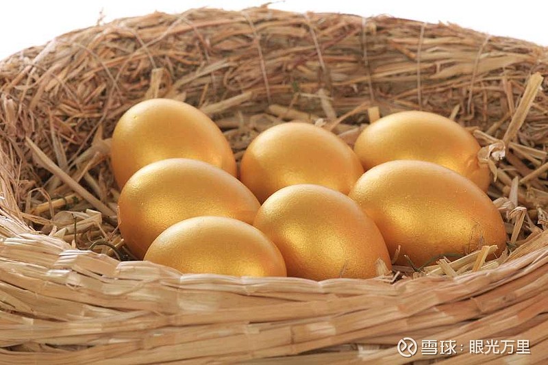 金蛋理财真假之谜，深度解析与探讨 金蛋理财真的假的